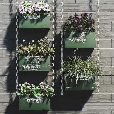 现代墙壁挂式植物3D模型下载